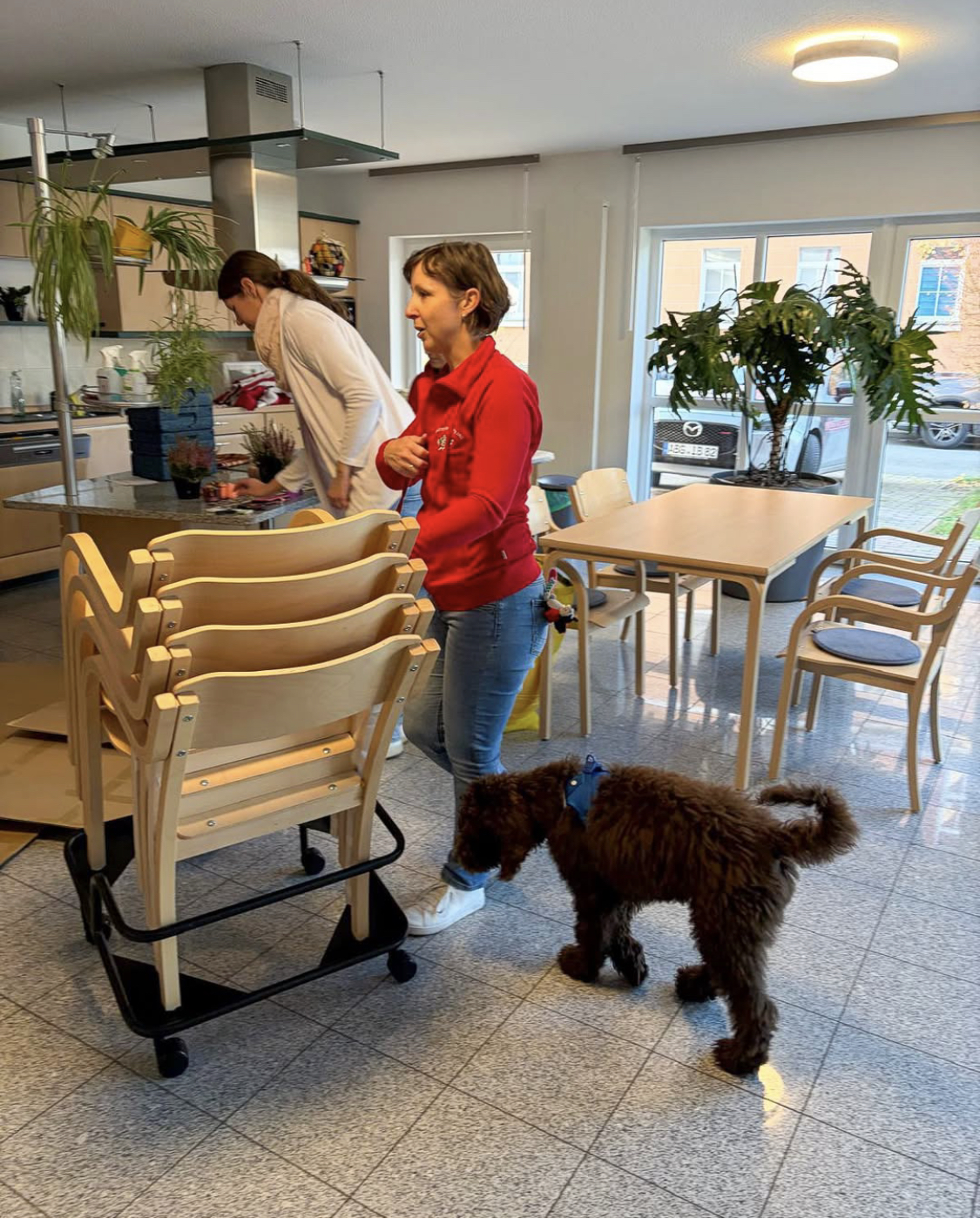 Neue Möbel für unseren Speiseraum! ✨